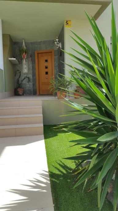 プエルト・デル・ロサリオAtlantic Star - Duplex With Ocean Viewsアパートメント エクステリア 写真